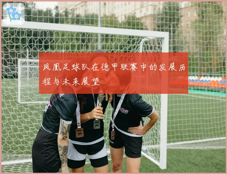 凤凰足球队在德甲联赛中的发展历程与未来展望