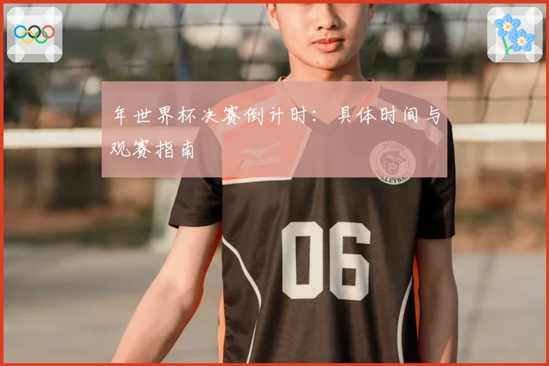 年世界杯决赛倒计时：具体时间与观赛指南