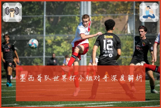 墨西哥队世界杯小组对手深度解析