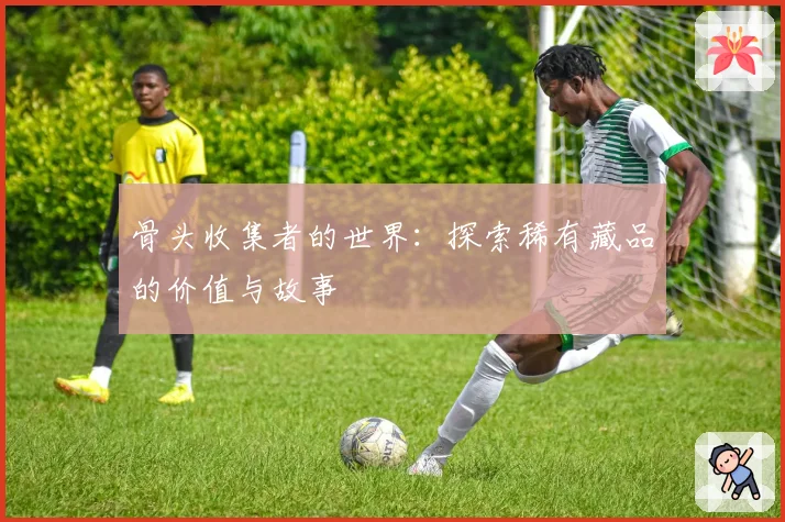 骨头收集者的世界：探索稀有藏品的价值与故事