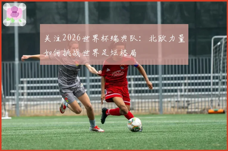 关注2026世界杯瑞典队：北欧力量如何挑战世界足坛格局