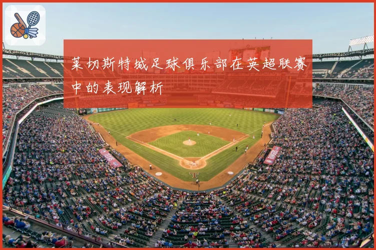 莱切斯特城足球俱乐部在英超联赛中的表现解析
